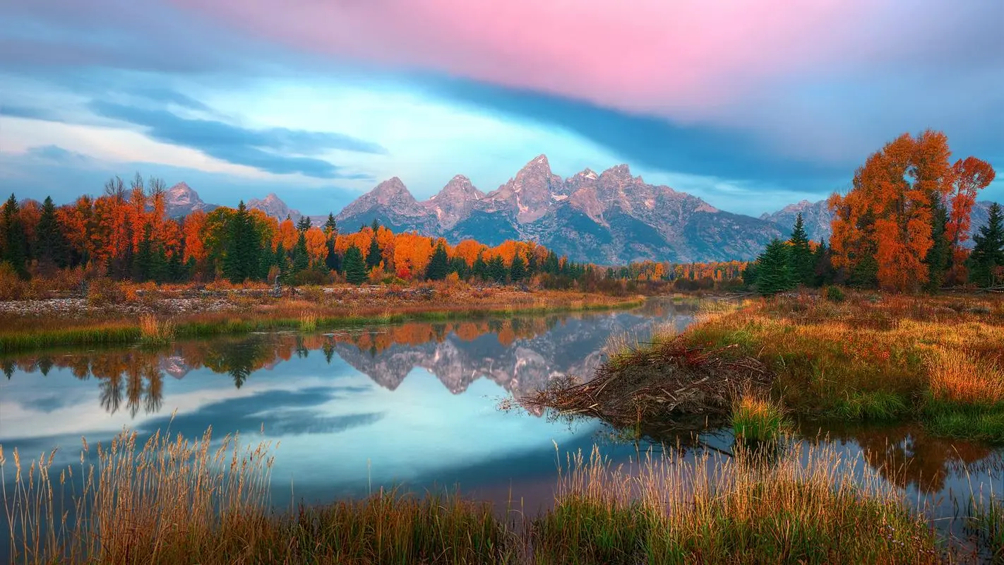高效先进智能系统